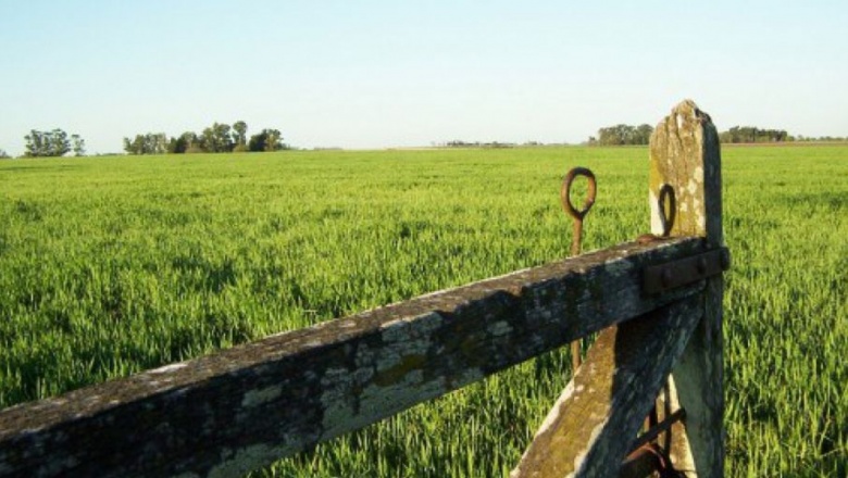 El campo con más ventas y firme demanda de alquileres