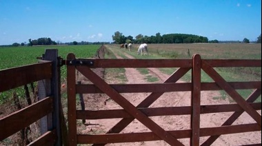 Por la crisis política y económica, la actividad en el mercado inmobiliario rural cayó 15 % en julio