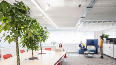 El nuevo paradigma en el uso de las oficinas como espacios de trabajo