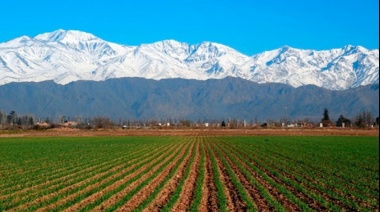 La provincia donde más tierras se venden: Mendoza, a la cabeza del mercado inmobiliario rural