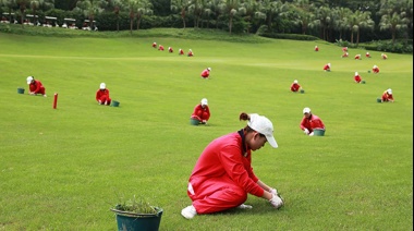 Hong Kong expropiará los terrenos de un exclusivo campo de golf para construir más de 10 mil viviendas populares
