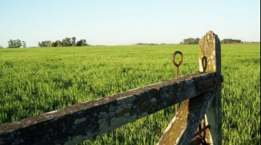 Alquiler rural, entre 15 y 20% menos que la campaña anterior
