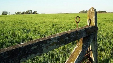 La actividad inmobiliaria rural sigue en cuarentena