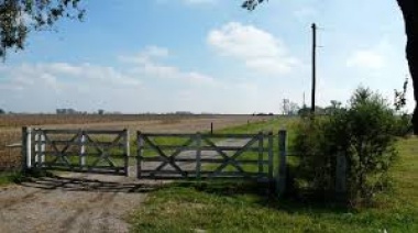 La actividad inmobiliaria rural tampoco zafó de la crisis