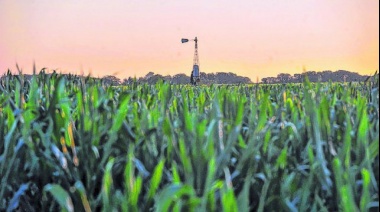 Creció la demanda de campos para alquilar traccionada por los precios de los commodities