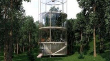 La increíble casa sustentable construida alrededor de un árbol