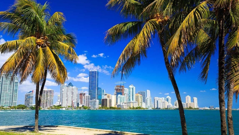 Precios en Miami, Pinamar, Mar del Plata, Punta del Este y Brasil: guía completa para calcular gastos