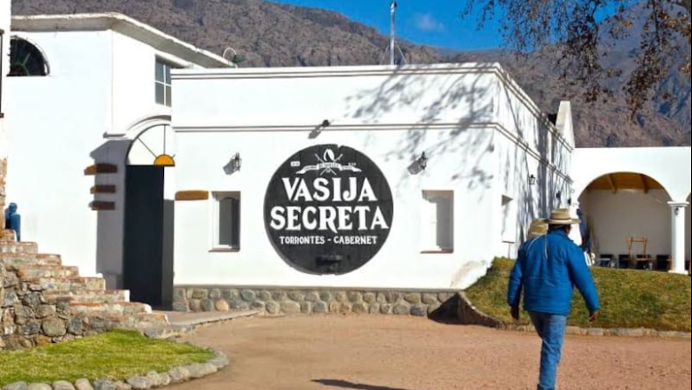 Construyen un desarrollo residencial entre los viñedos de una bodega de 170 años