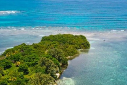Una paradisíaca isla del Caribe busca dueño